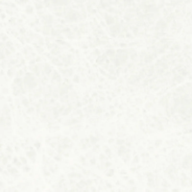 Oxford Leather White EL1137 LP