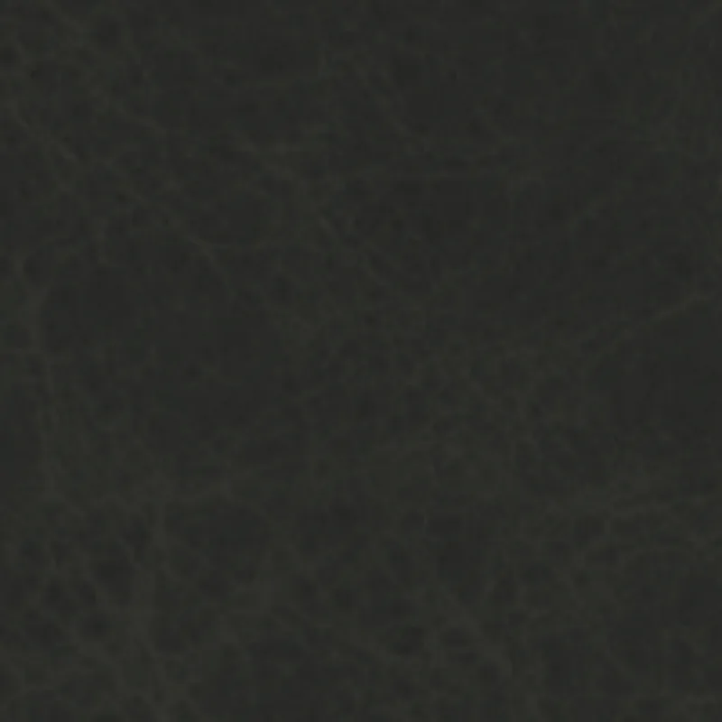 Oxfoard Leather Black EL1399 LP