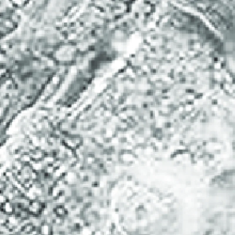 Bergamo Grigio ES7662 RT