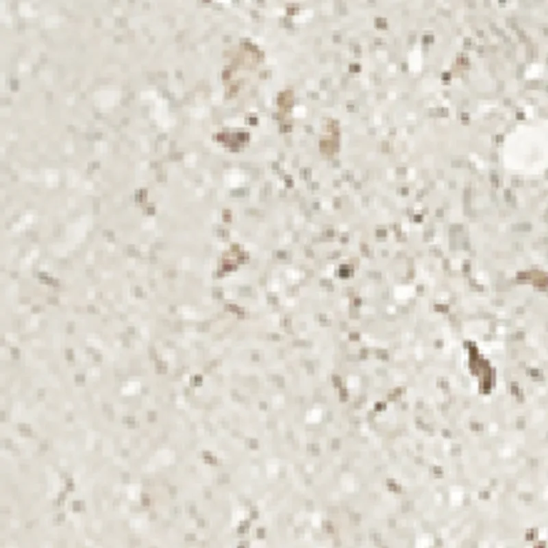 Cemento Terrazzo ES7747 RT