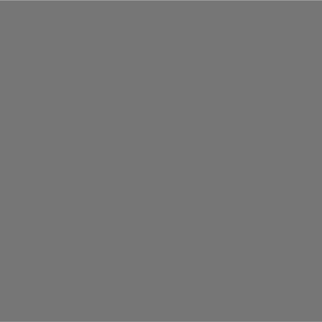 Polished Grey Mirror DMB 2966