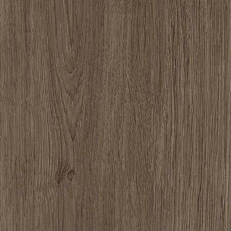 Veyre Oak DWC 3679AT