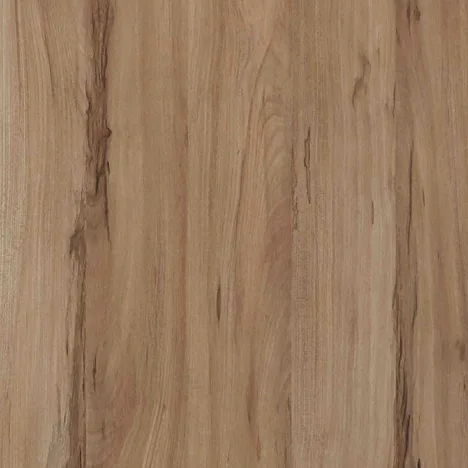 Medium Montfort Elm DWT 3701W