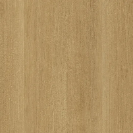 Bondi Birch DWT 3773W
