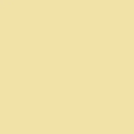 Baby Lemonade-V ECV 1741VC