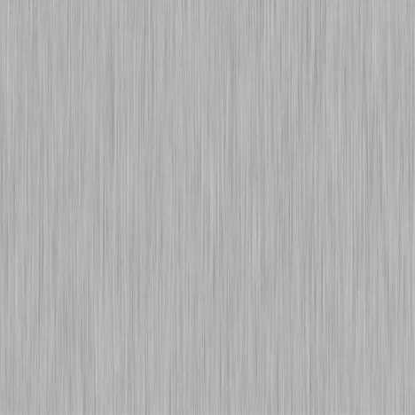Silver Brush EMS 2722