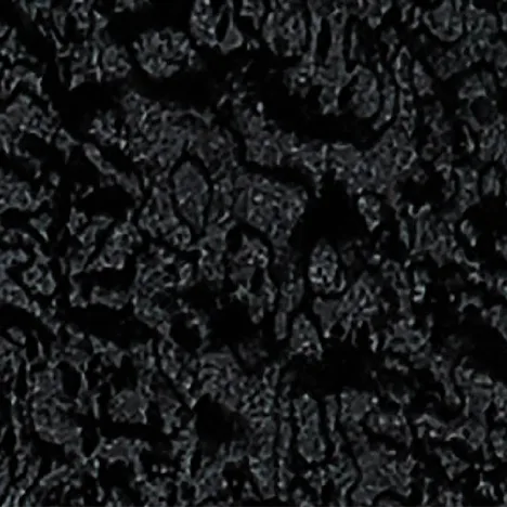 Black Pearl Birdeye EO 1205HG
