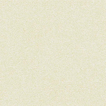 Pearl Bianco ERS 2810G