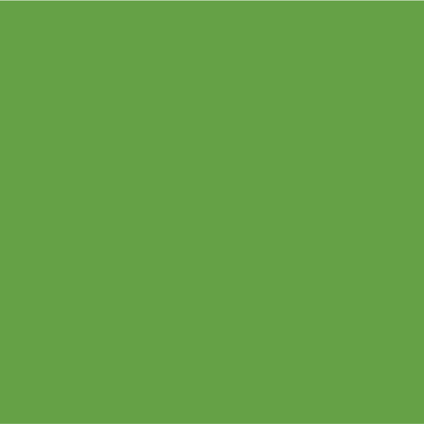 Lime Green ESG 5066N