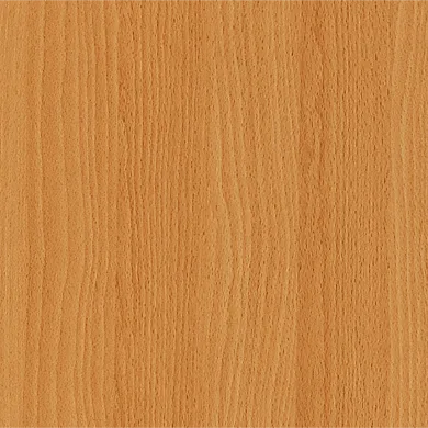 Virginia Beech EWD 9520T