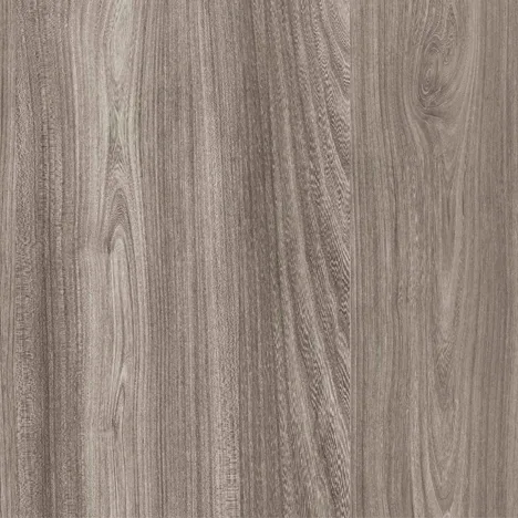Grey Bolzano Elm EWP 1643M