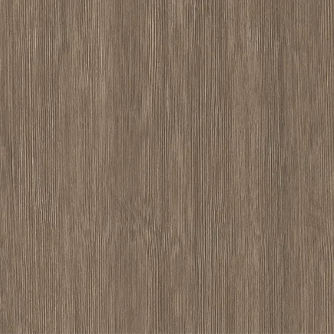 Legarto Oak EWY 3372EV
