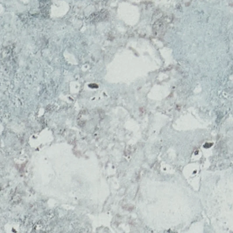Tropic Stone EP8-1120