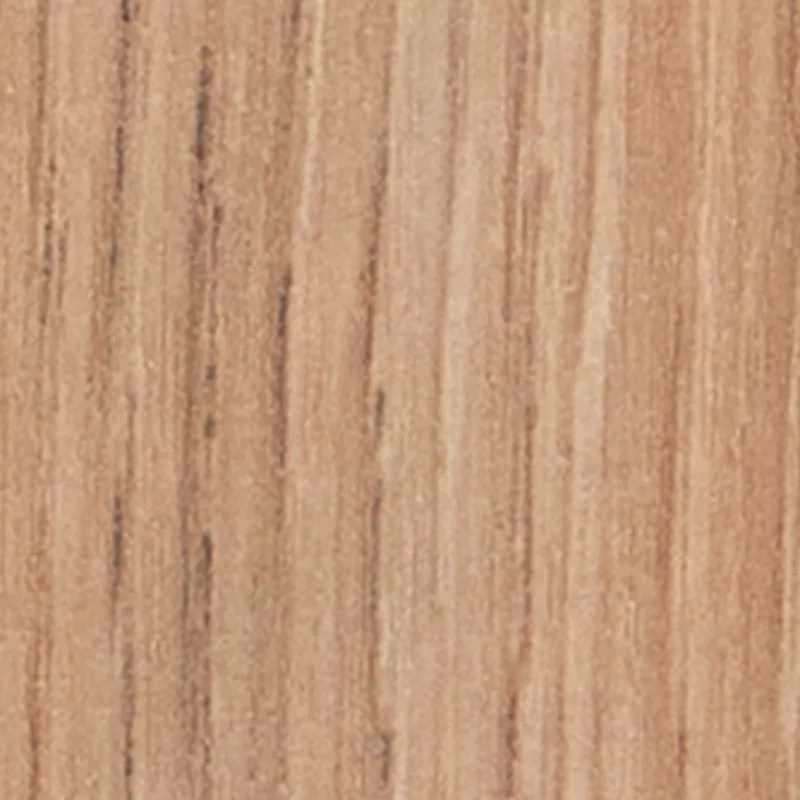 Canyon Oak EW5-8217