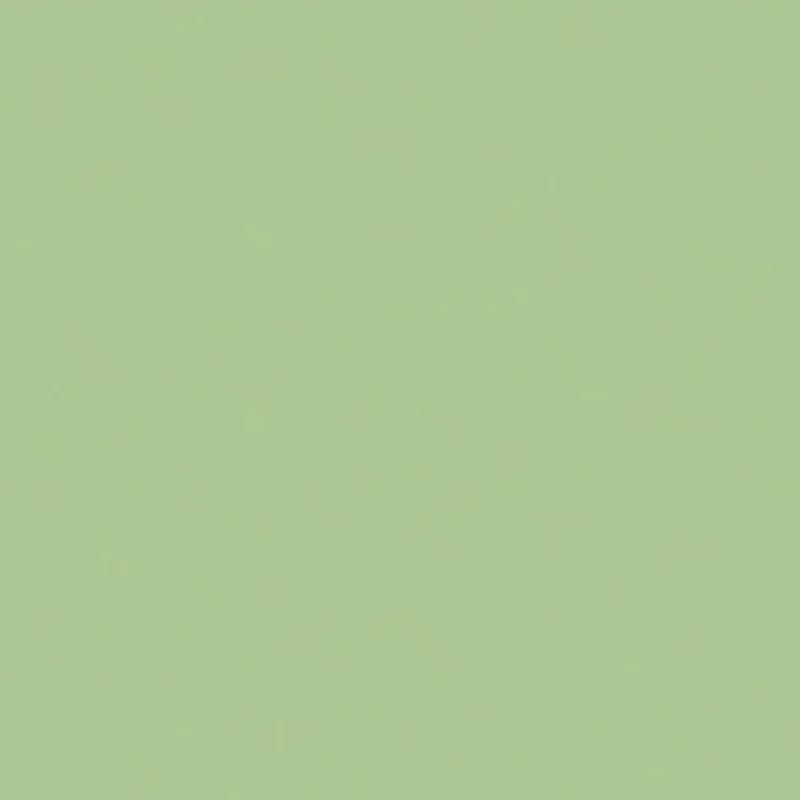 Pista GSC 246