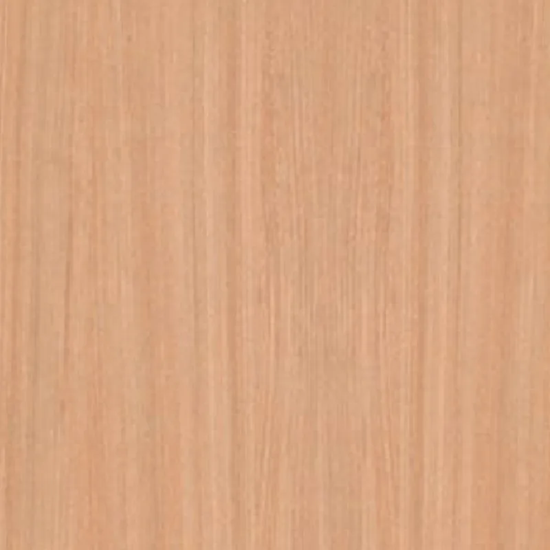 European White Elm GWC 728