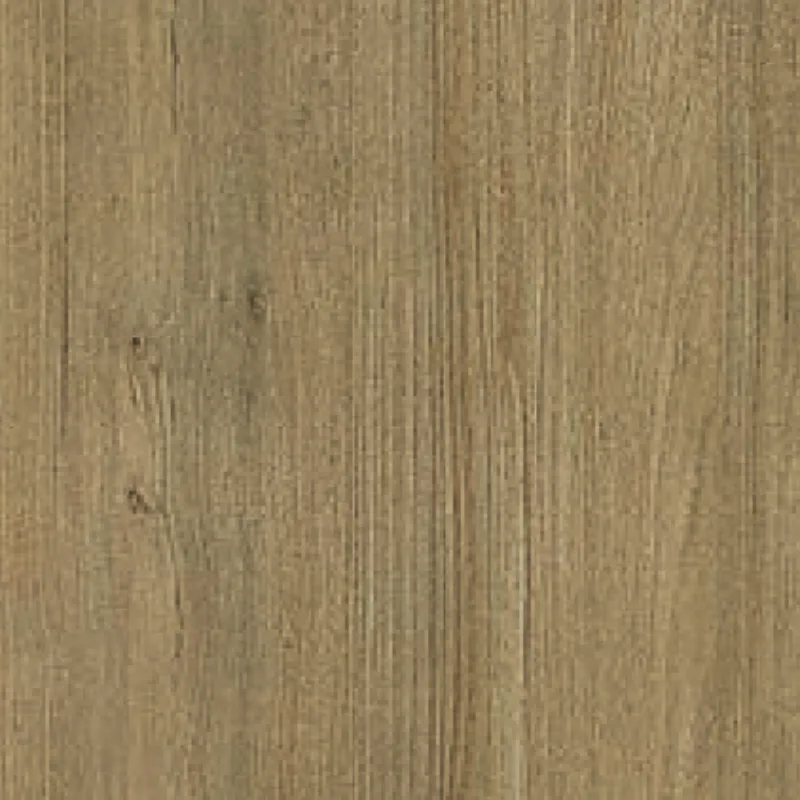 Autumn Elm WSN 5420