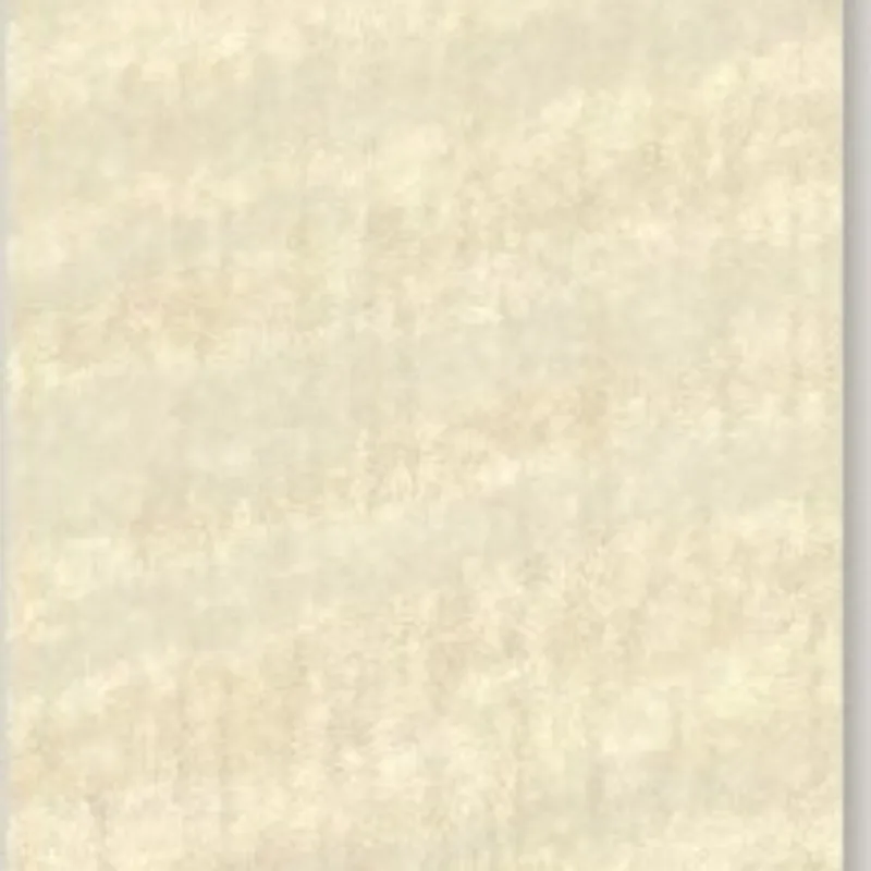 Ivory Maple Wood Gloss CCX 47201G