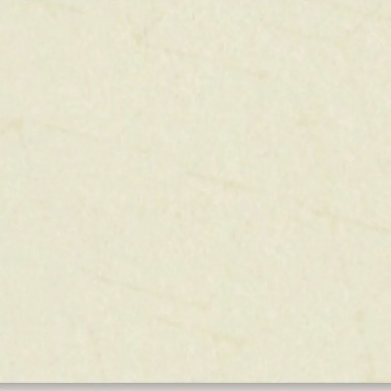 Beige Escher Litho DXP 1376K