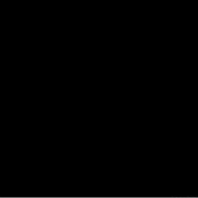 Black 400