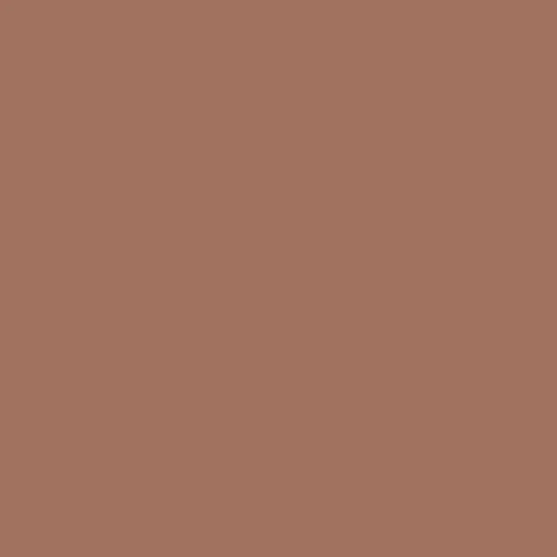 Salmon K 2102S