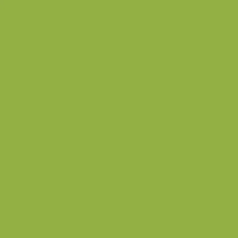 Zesty Lime K 5008S