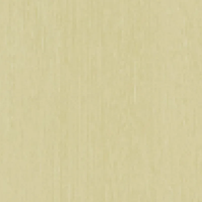 Cream Wenge Suede T 2001S