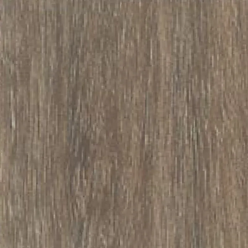 Eucalyptus H-WS 62330M