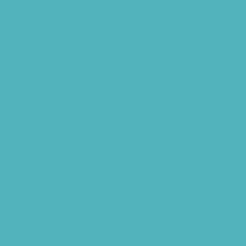 Matcha-V N-SD 31783V