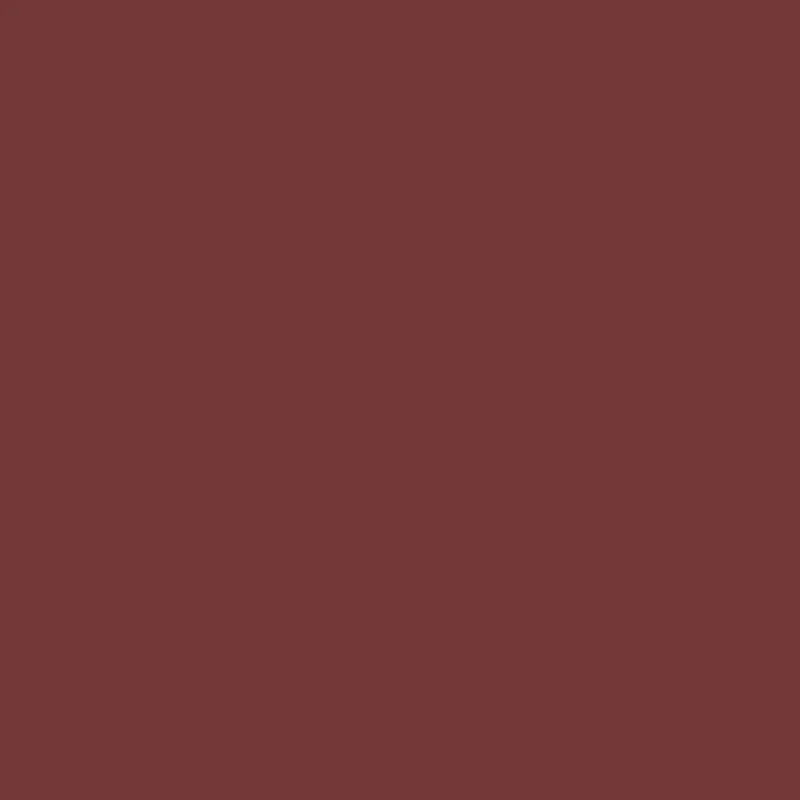 Ruby S-P 541ST