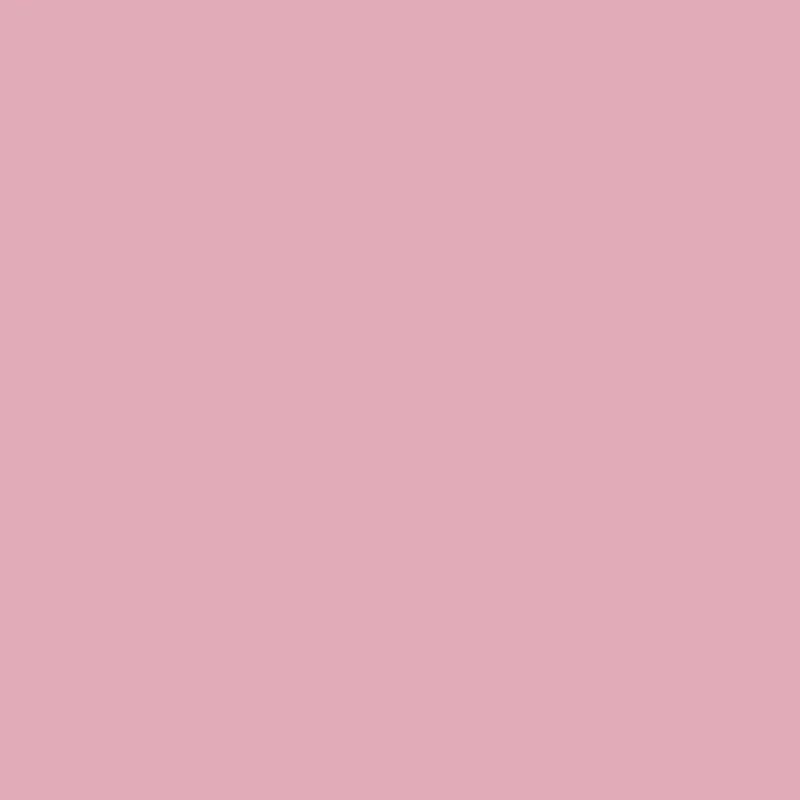 Nude Pink S-P 761YN