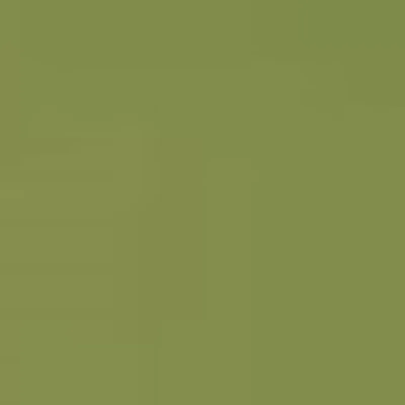 Pistachio PL 1954 T