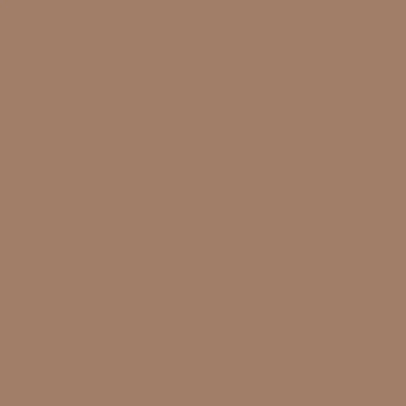 Mocha PL 2210 T