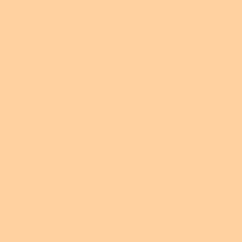 Ginger PL 2410 T