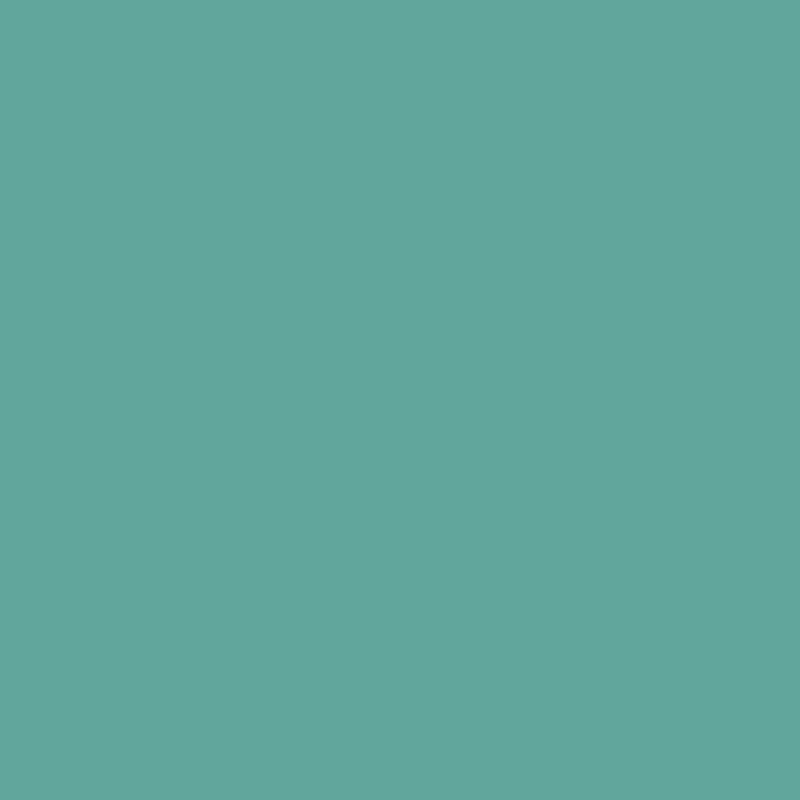 Peppermint PL 2845 T