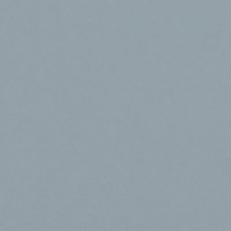 Light Blue PL 2998 T