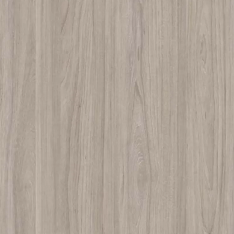 Swiss Elm Champagne PL 4041 BW