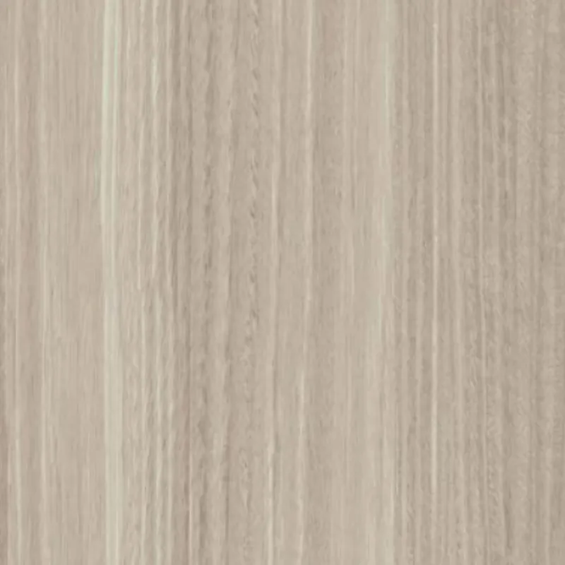 Polla Eucalyptus PL 5361 BW