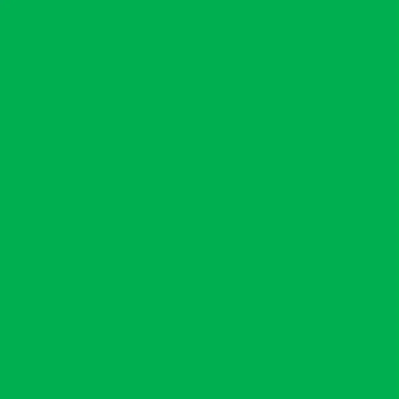 Kiwi Green 1241