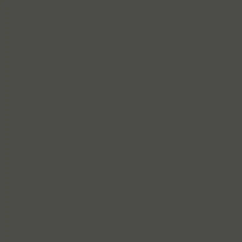 Fossil Grey NSB 3564