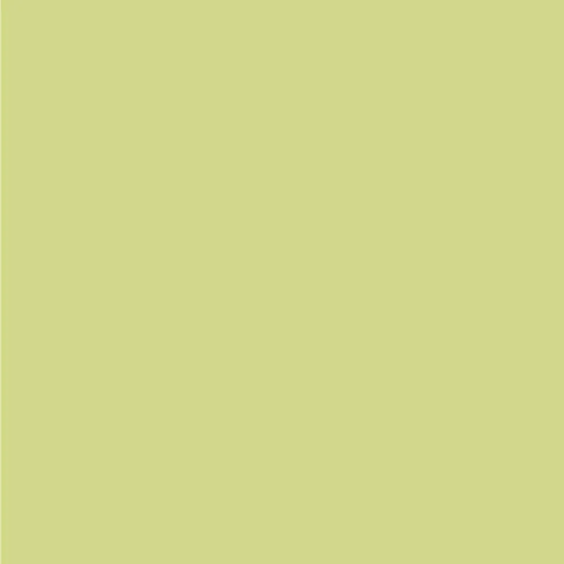Soft Fern NSB 3576