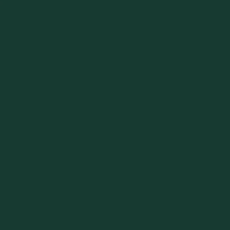 Verde NSB 3585