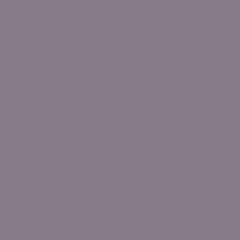 ASH PURPLE AM 1733