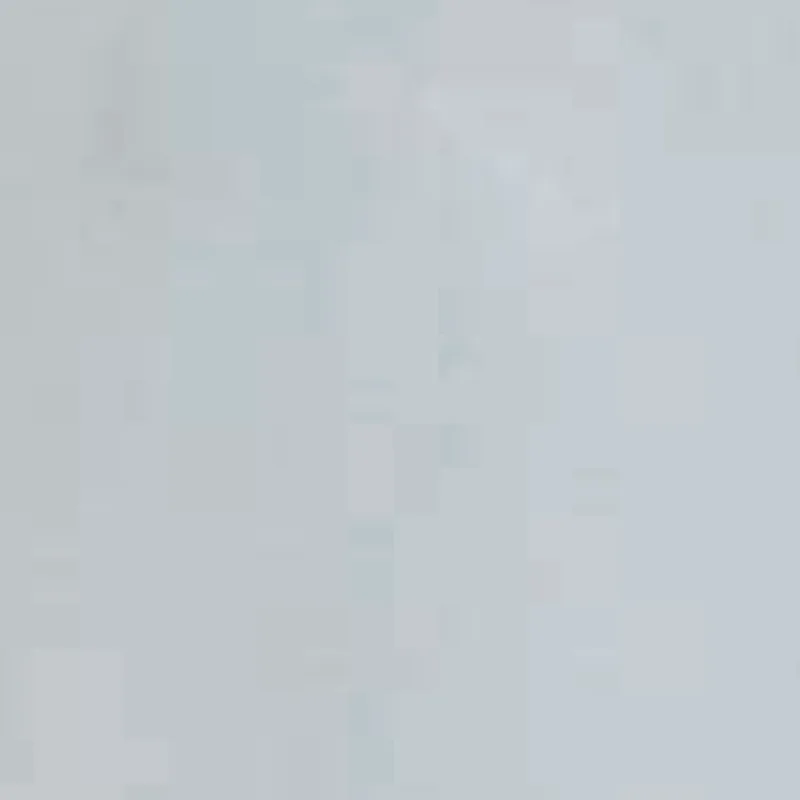 SILVER LK 1287