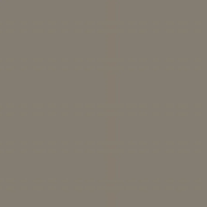 SHALDOW GREY SPL 1019 OM