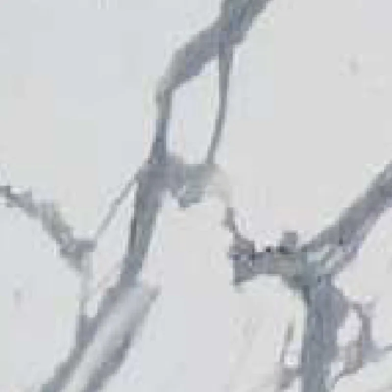 ROYAL WHITE CARRARA - G SPL 8005 G