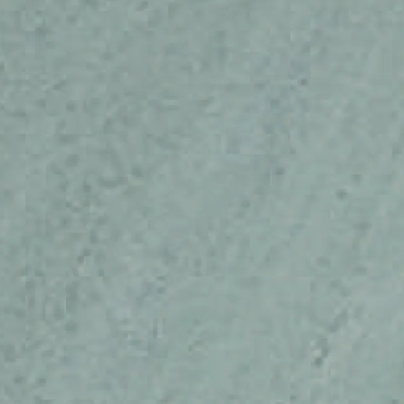 Idaho TP6-3833 VM