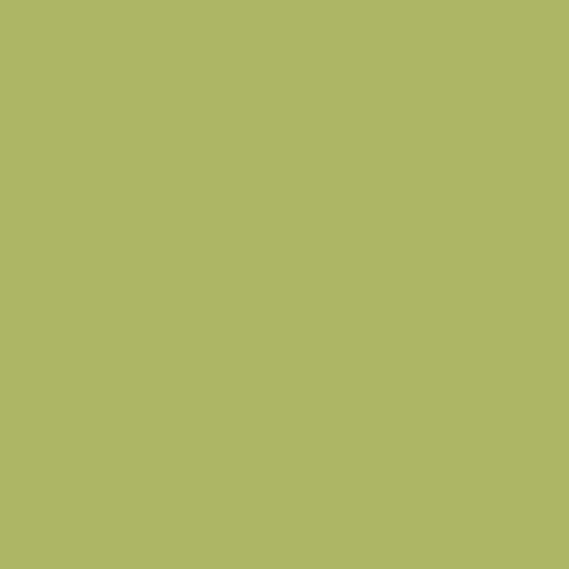 Surf Green TS4-1209