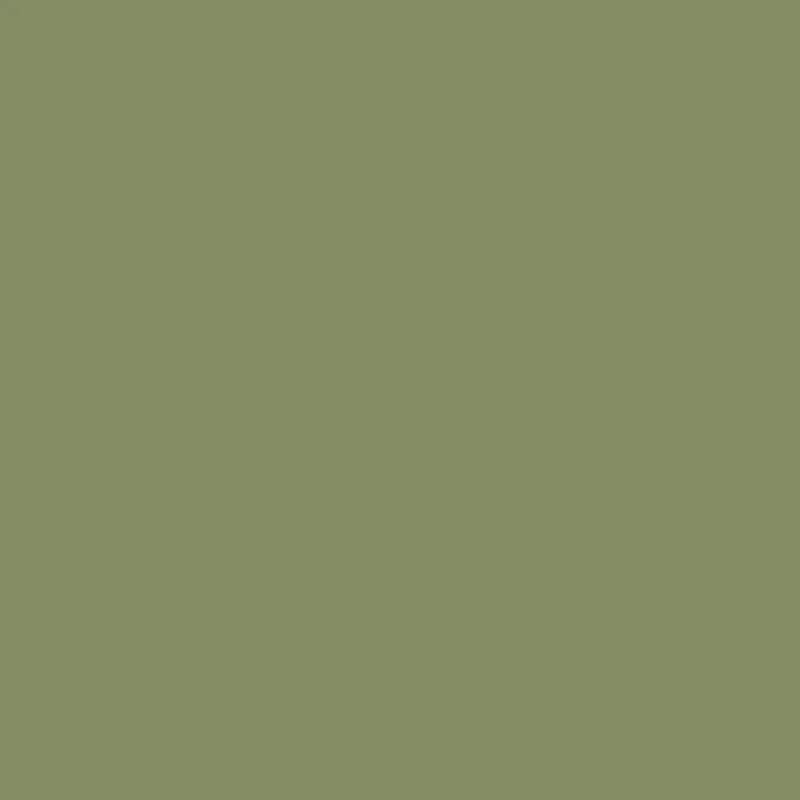 Olive Green TS6-5017 G