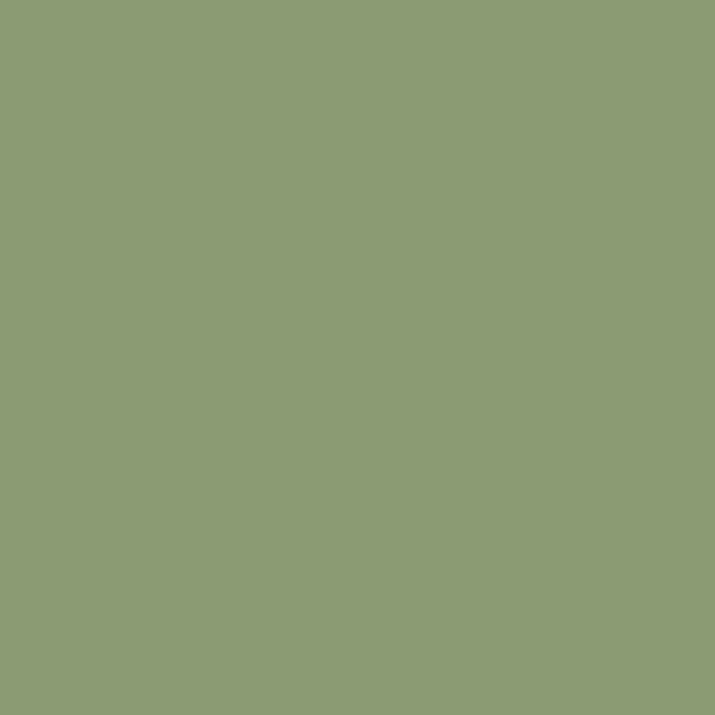 Olive Green TS8-1232 VM